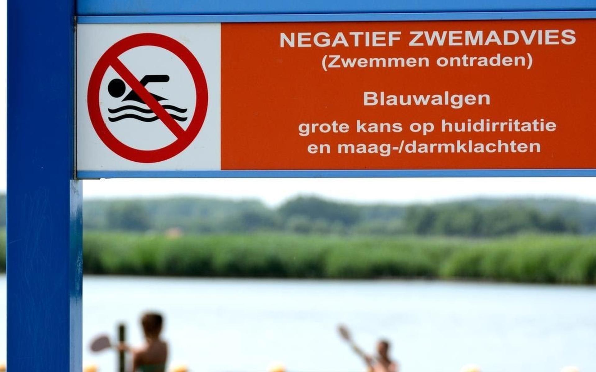 Blauwalg Paterswoldsemeer (foto Waterschap Noorderzijlvest)