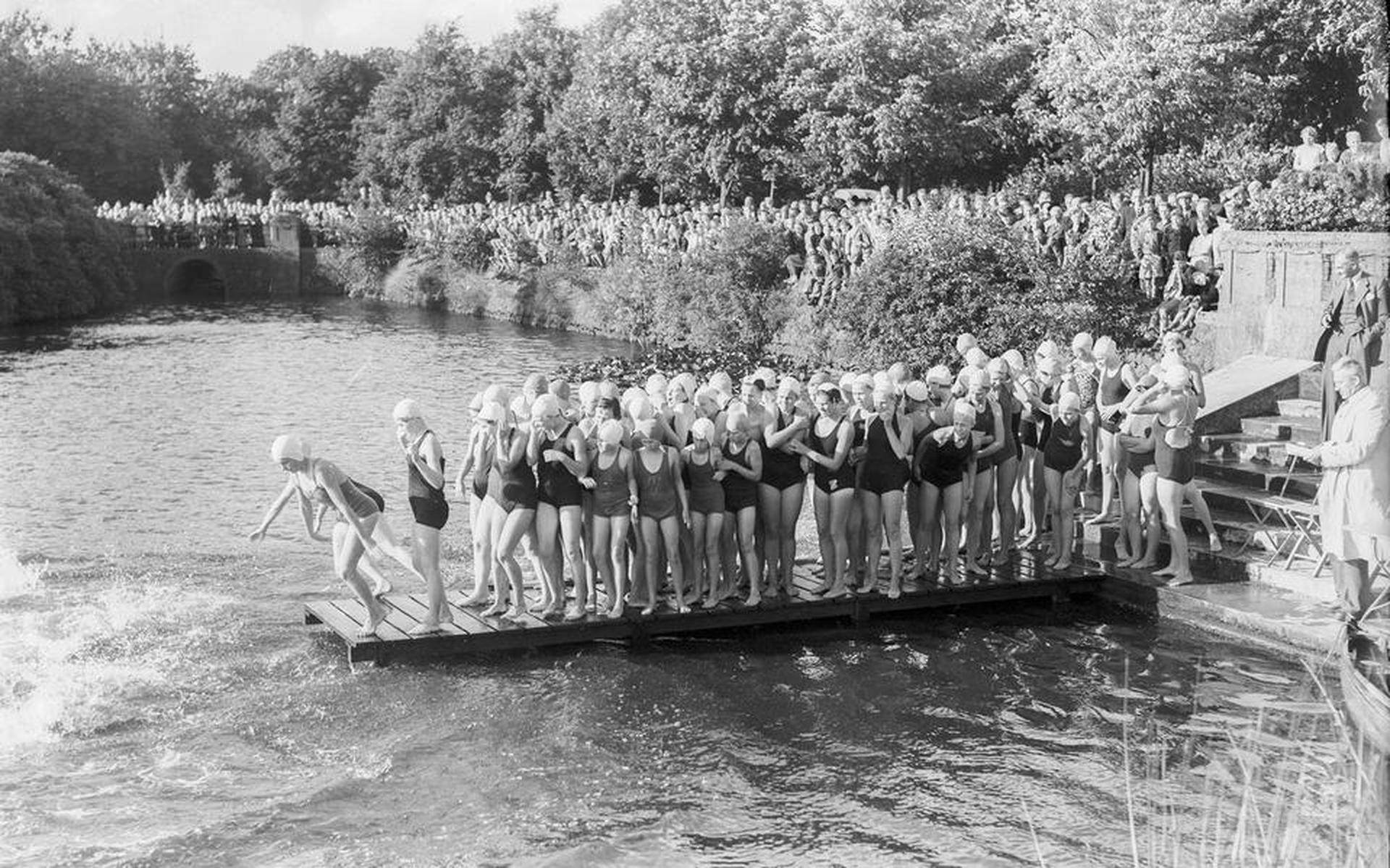 Een frisse duik in het Stadspark, 1952. Fotobedrijf Piet Boonstra, Groninger Archieven